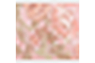 Paisley Floral