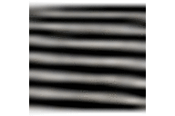 Black/White Stripe