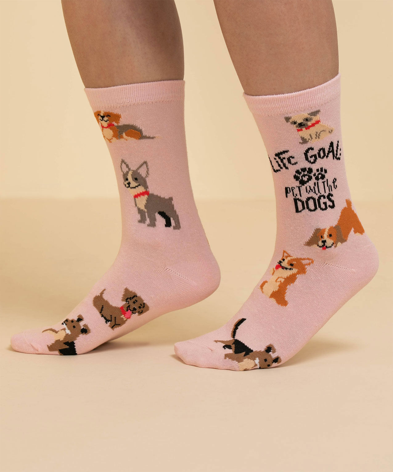 Dogs for sale life socks
