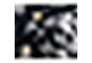 Navy/Floral Print
