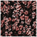 Black/Pink Ditsy Floral