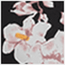 Pink Artisan Floral