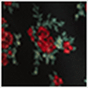 Red Floral Print
