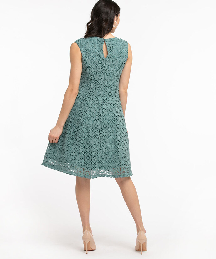 Lace Fit & Flare Dress Image 4