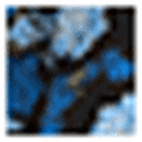 Blue Hydrangeas