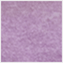 Purple Rose