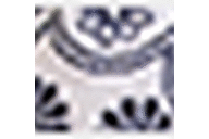 White/Navy Stitch