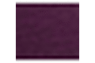 Pennant Purple