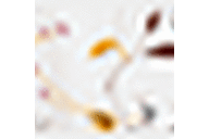 White/Yellow Print
