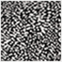 Black/White Romantic Dot