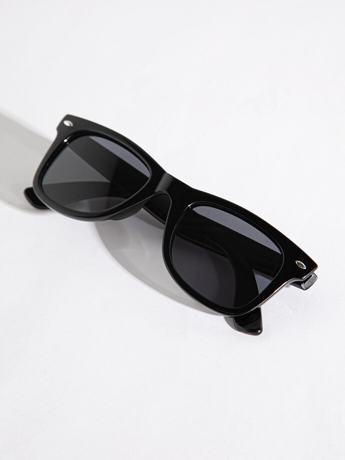 Wayfarer Frame Sunglasses with Case Image 1