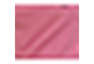 Pink Palm Tree