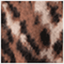 Brown Leopard