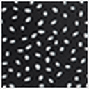 Salute/Dot Print