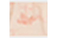 Coral Palm Tree Print