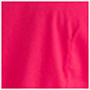 Raspberry Sorbet