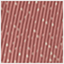 Lilas Dots