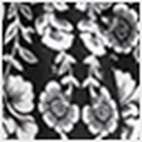 Black Border Print