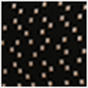 Black/Brown Squares