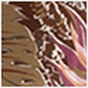 Tropical Print