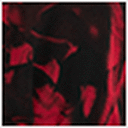 Red Rose Print