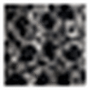 Black Print