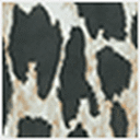 Animal Print