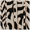 Animal Print