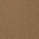 Shitake