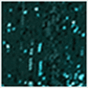 Rainforest Sequins