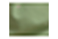 Green Pa