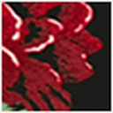 Red Roses Print