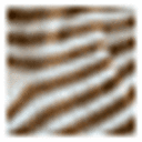 White/Gold Stripe