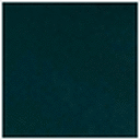 Deep Teal