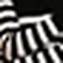 Black/White Stripe