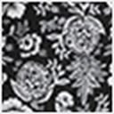 Black Print