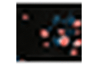 Black/Coral/Blue