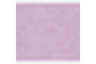 Purple Rose