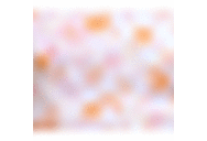 Pink/Orange Floral