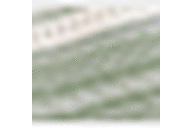 White/Loden Frost