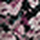 Clover Floral