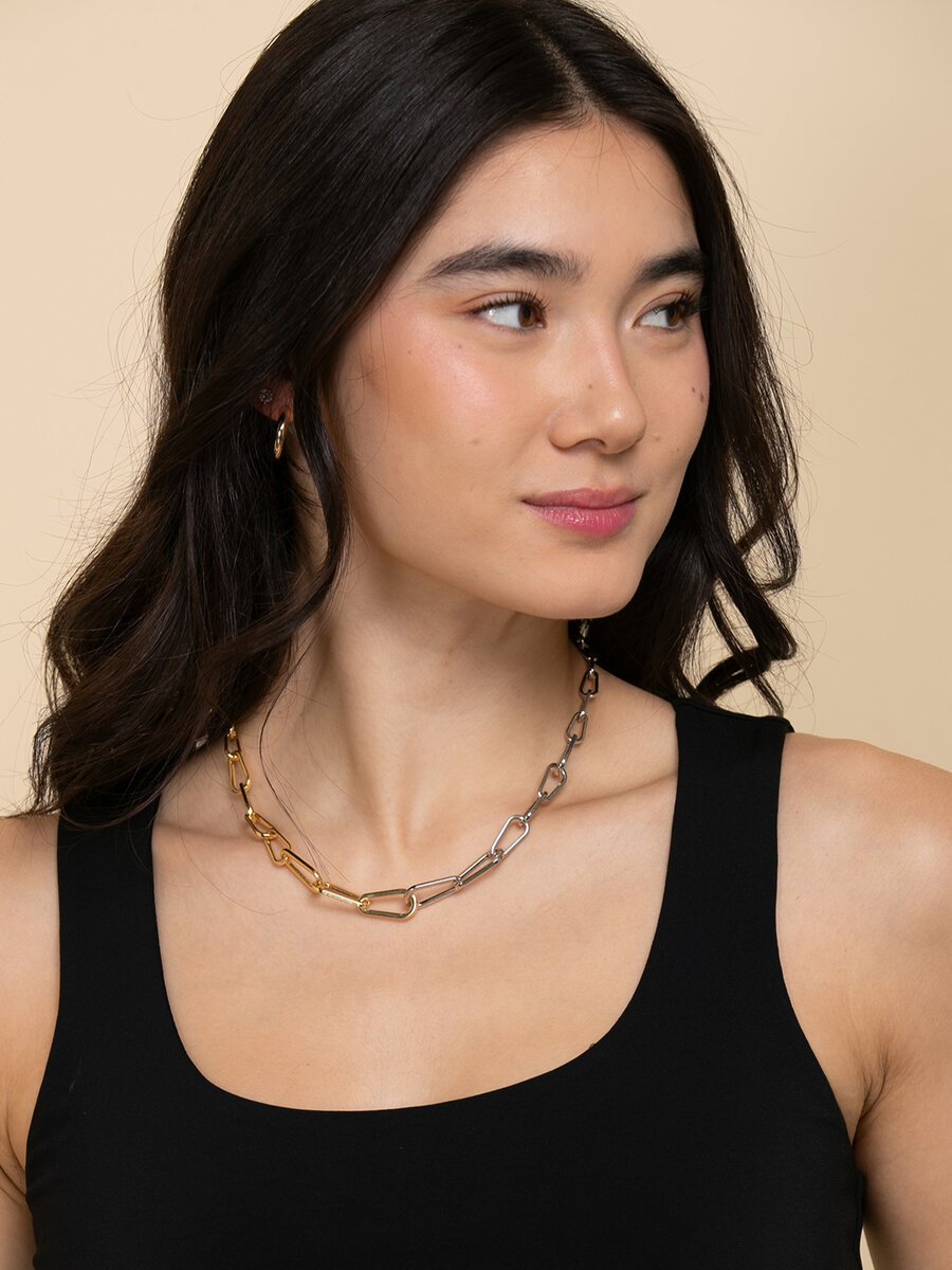 Silver and Gold Chain-Link Necklace