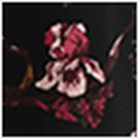 Romantic Florals