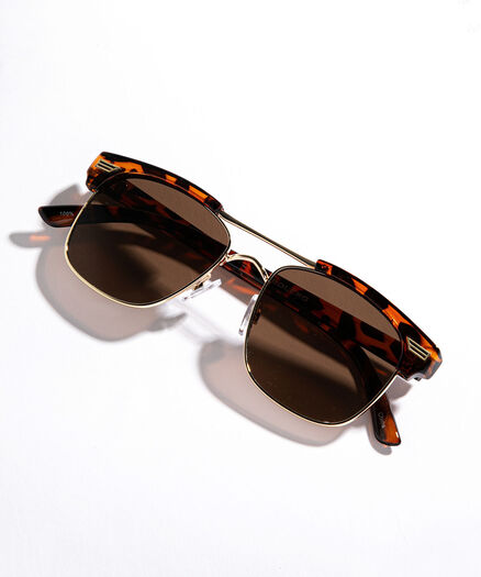 Tortoise Wayfarer Sunglasses, Tortoise/Gold