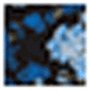 Blue Hydrangeas