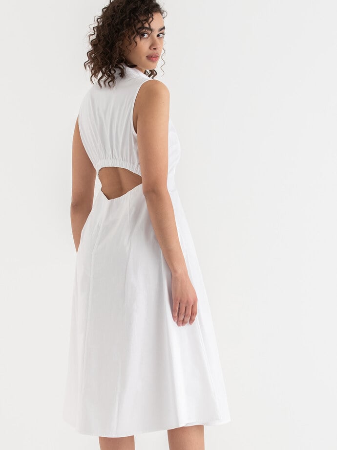 Sleeveless Luxe Poplin Dress Image 1