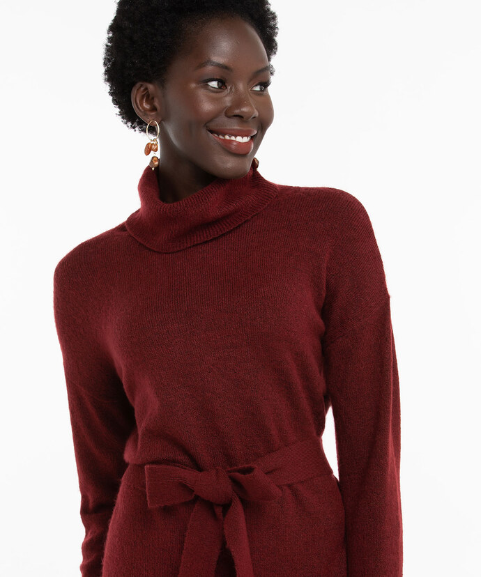 Turtleneck Sweater Dress Image 5