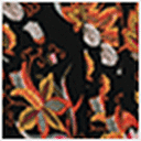 Paisley