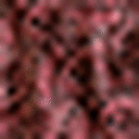 Paisley Print