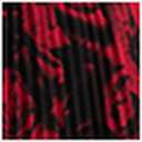 Red Floral Print